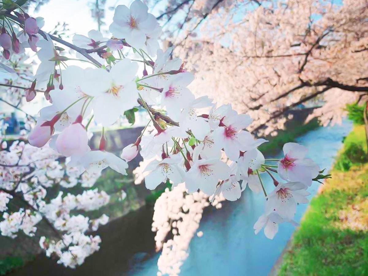 湯浅長 Shimo-saga Eksteriør billede